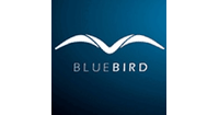 BLUEBIRD Consulting AG